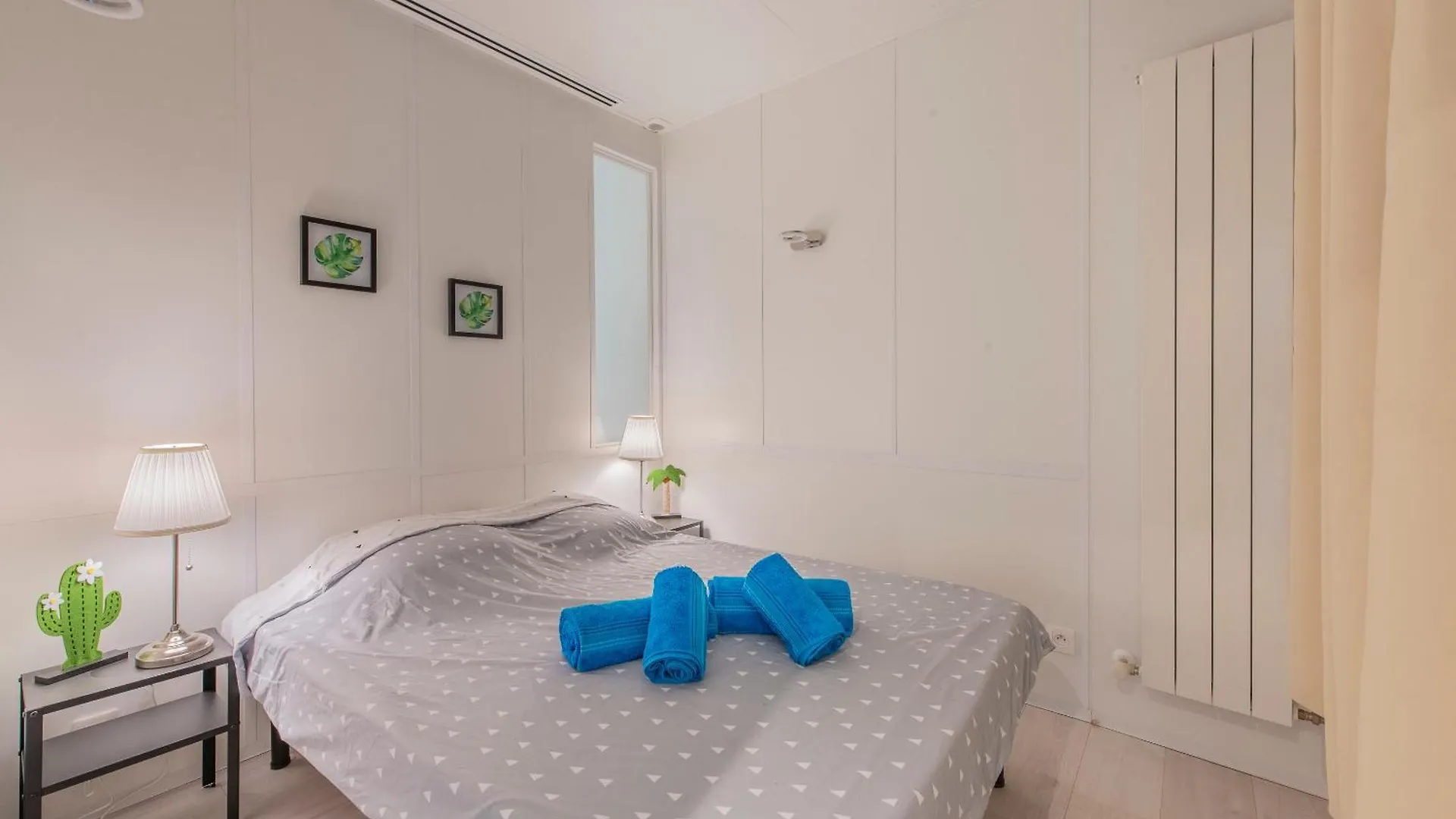 Musiciens Joli Duplex 2 Chambres Garage Privatif Et Terrasse Nice
